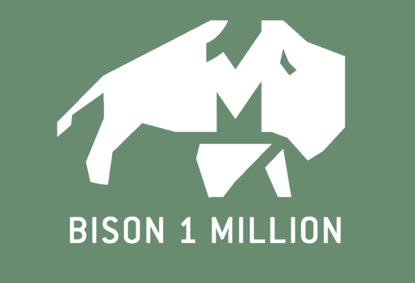 Bison One Million Logo